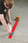 ToughStripe Floor Marking Tape. Red 50.80 mm x 30.48 m. 104313 miniature