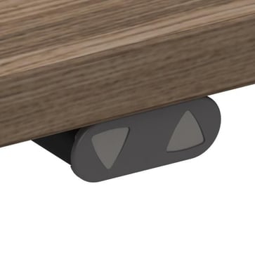 Electric adjustable desk in silver and tabletop 120x80 cm in walnut melamine 501-33 7S092 100-80S3 VM