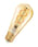 LEDVANCE Vintage 1906 LED edison gold spiral filament 300lm 4W/820 (28W) E27 dimmable 4099854090103 miniature