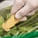 Klever NSF kniv fødevarezone gul til fjerkræ Antimikrobiel 10 stk 58KCJ1SSYX miniature