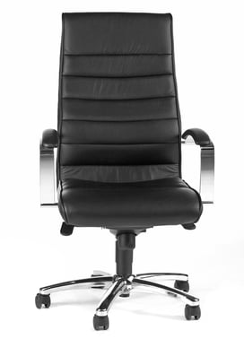 Office chair TD Luxe 10 8779TA80H