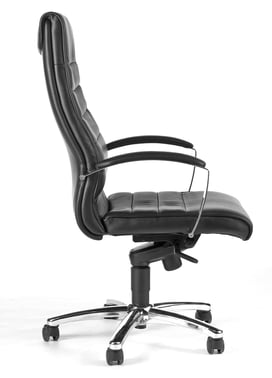Office chair TD Luxe 10 8779TA80H