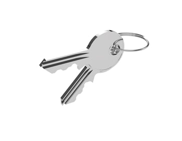 Key C101 Spare key suitable for all our standard locks 50870