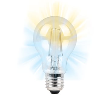 FESH Smart Home LED Bulb - Cold/Warm Clear Deco E27 5,5W Ø 60 208001