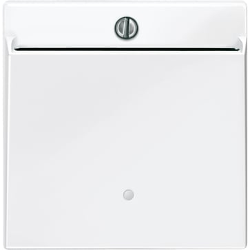 Central plate, Merten System M, for Hotel keycard holder, glossy, polar white 315619