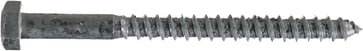 Wood screw 8 X 100 T6S HDG 504431