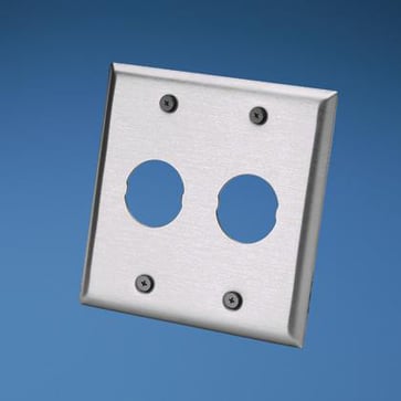IndustrialNet Stainless Steel Faceplate, Double Gang IAEFP2-2G