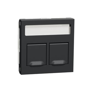 RJ45 Double ctr Plate DPM anthracite NU942254