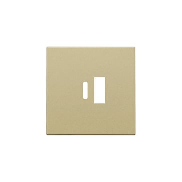 Afdækning til USB-A + USB-C oplader, gold coated 221-68002