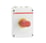 Sikkerhedsafbryder AC23 30AA 6polet med hjælpekontakt metrisk gevind rød gul greb OTP25A6M 1SCA022401R2460 miniature