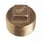 Roth plug for gunmetal manifold 17046615.106 miniature
