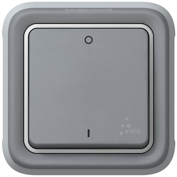 Plexo ip55 2-pol afbryder 10a grå 69530
