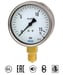Pressure gauge brass connection stainless steel casing
