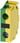 Support, grøn/gul, skrue, for bund motage 3SU1400-2DA43-1AA0 miniature