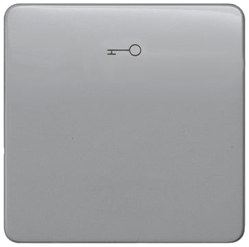 DELTA profil, sølv rocker med døråbner symbol til trykknap, 65x 65 mm 5TG7928