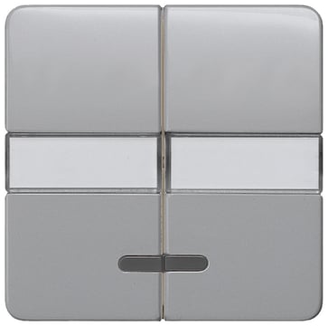 DELTA profil, sølvvippe med vindue, med etiket til to-kredsløb / dobbelt tovejskontakt. 5TG7937