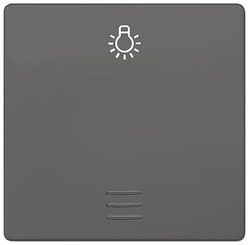 DELTA i-system, kulstofmetallisk vippebånd med vindue med symbollys til trykknap ,. 5TG6226