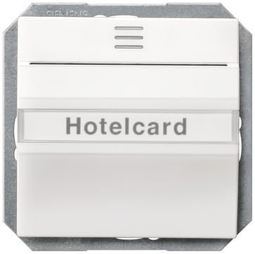 DELTA i-system hotelkortafbryder, oplyst, titanium hvid, 55x 55 mm 5TG4820