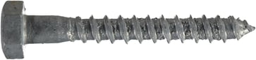 Wood screw 10 X 75 T6S HDG 504447