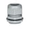 Cable gland PG 29 98026 miniature