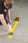 ToughStripe Floor Marking Tape. Yellow 50.80 mm x 30.48 m. 104312 miniature