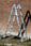 4-part Multipurpose ladder 2x3 + 2x4 steps 42381 miniature