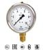 Pressure gauge brass connection stainless steel casing and filling