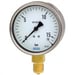 Pressure gauge with Brass connection