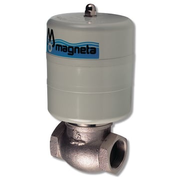 Magneta calcium filter 3/4" 399855006