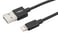Lightning Cable Data & lade 200CM 1700-0079 miniature